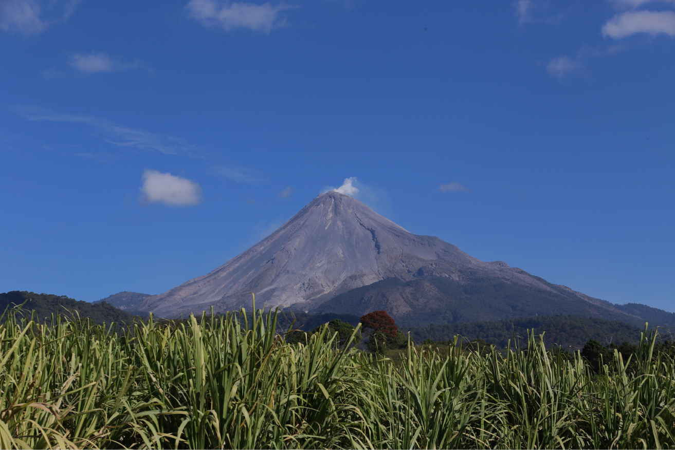 Colima
